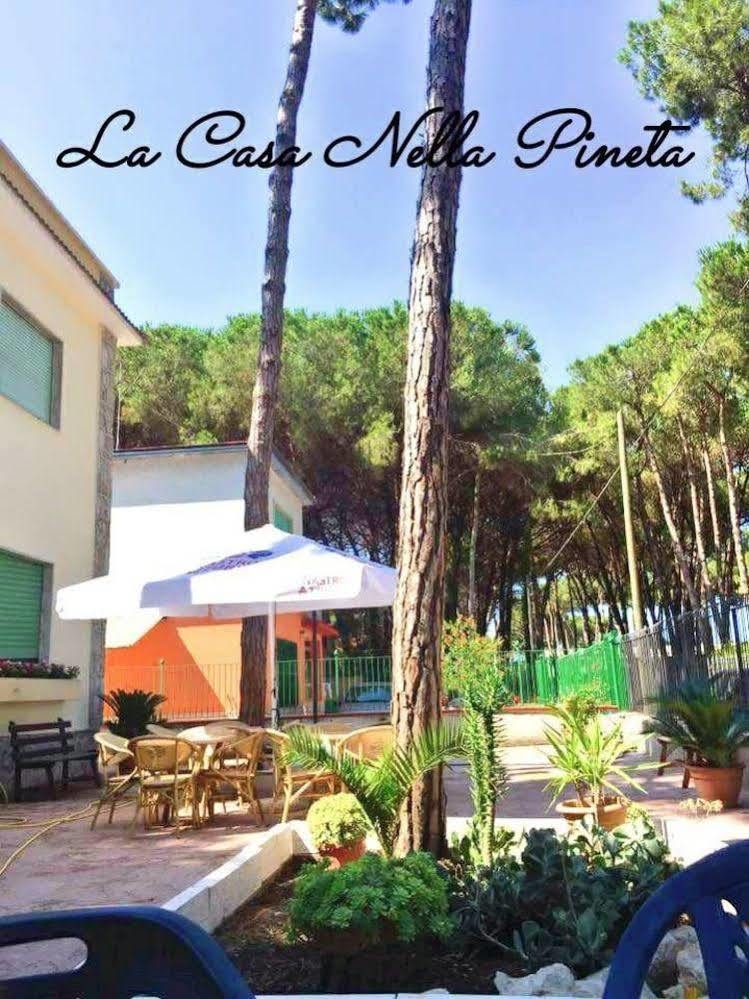 La Casa Nella Pineta 호텔 카스텔볼튜노 외부 사진